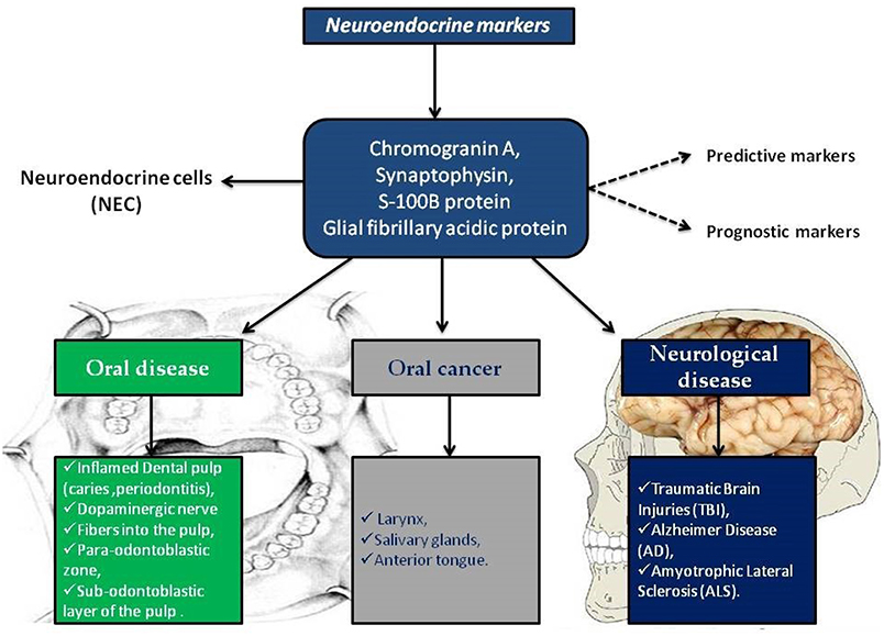 neuroendocrine cancer tumor markers