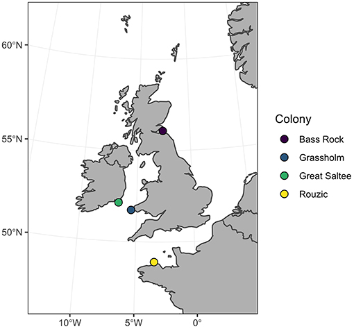 Frontiers Individual Spatial Consistency And Dietary Flexibility In The Migratory Behavior Of Northern Gannets Wintering In The Northeast Atlantic Ecology And Evolution