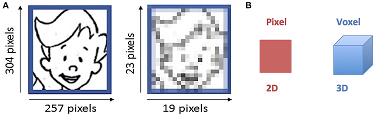 Figure 2 - How do pixels change the quality of images?