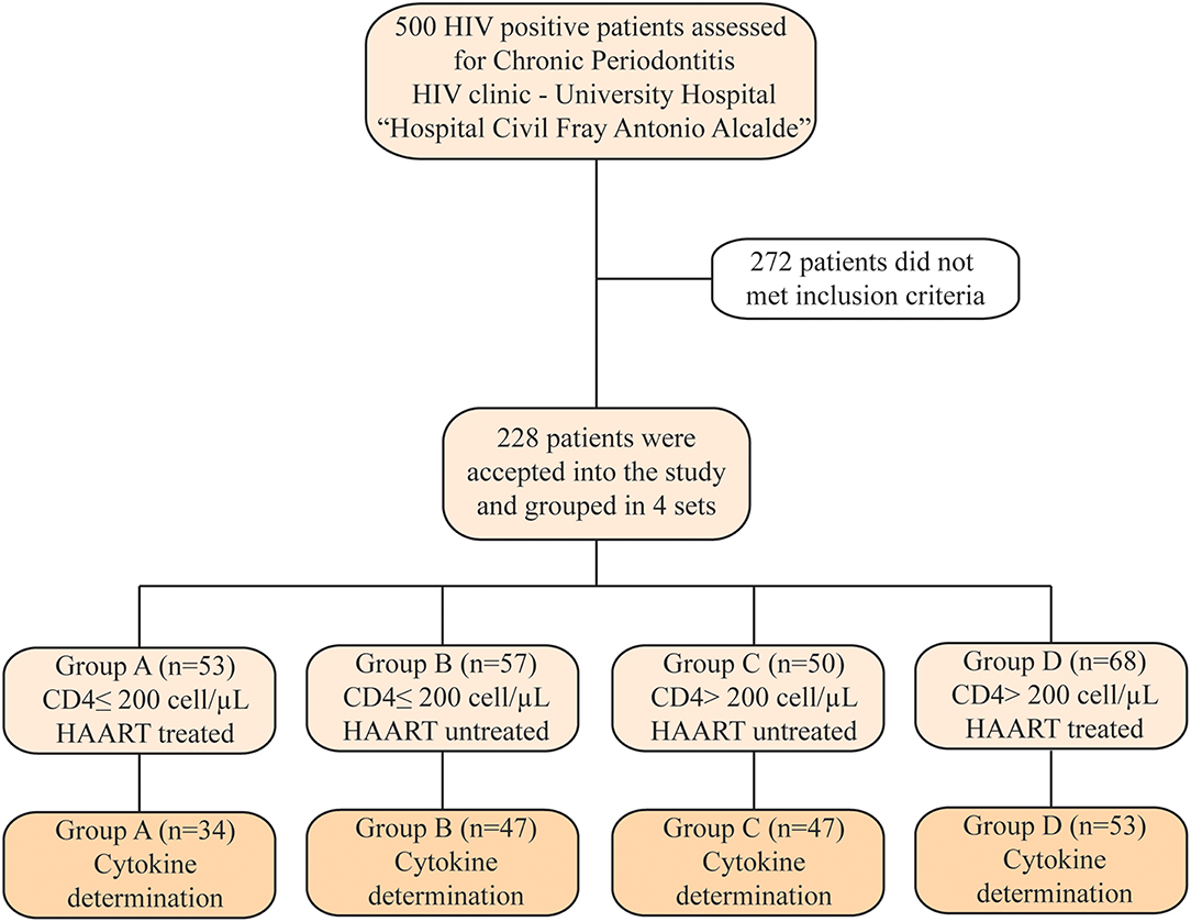 Frontiers Candida Spp Determination And Th1 Th2 Mixed Cytokine Profile In Oral Samples From Hiv Patients With Chronic Periodontitis Immunology