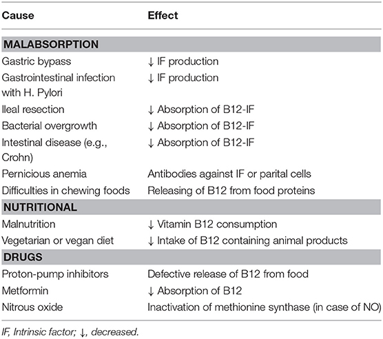 Frontiers Vitamin B12 Intake From Animal Foods Biomarkers And Health Aspects Nutrition