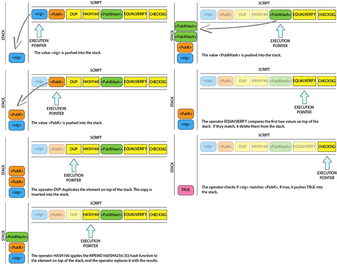 Hash Hub script. Script stack