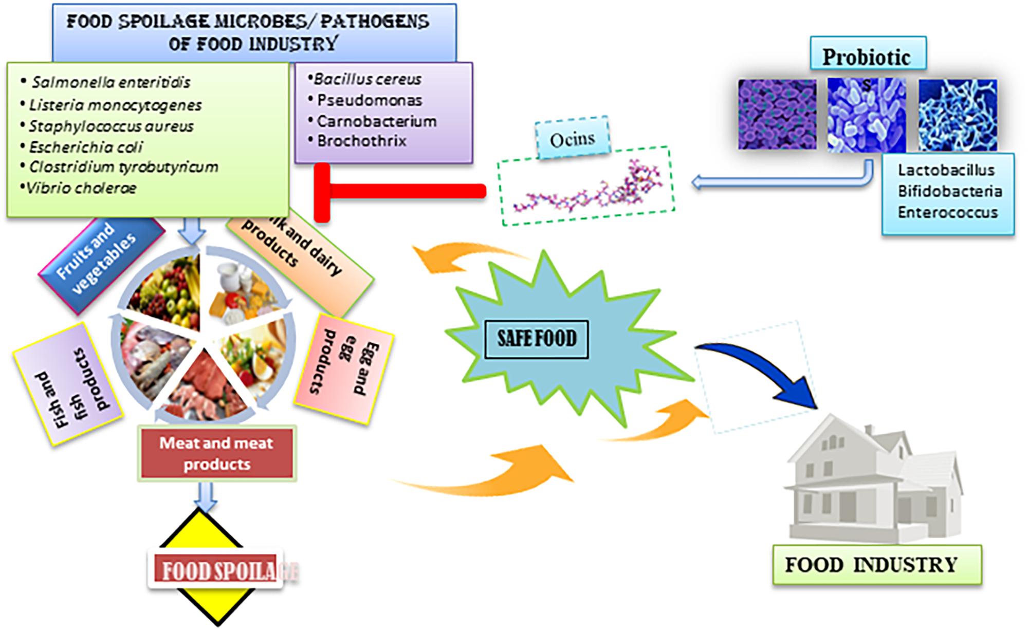 Food Microbiology Protocols | SpringerLink