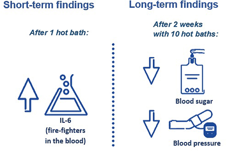 Figure 2 - Findings from the short- and long-term parts of the study.