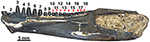 www.frontiersin.org