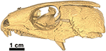 www.frontiersin.org