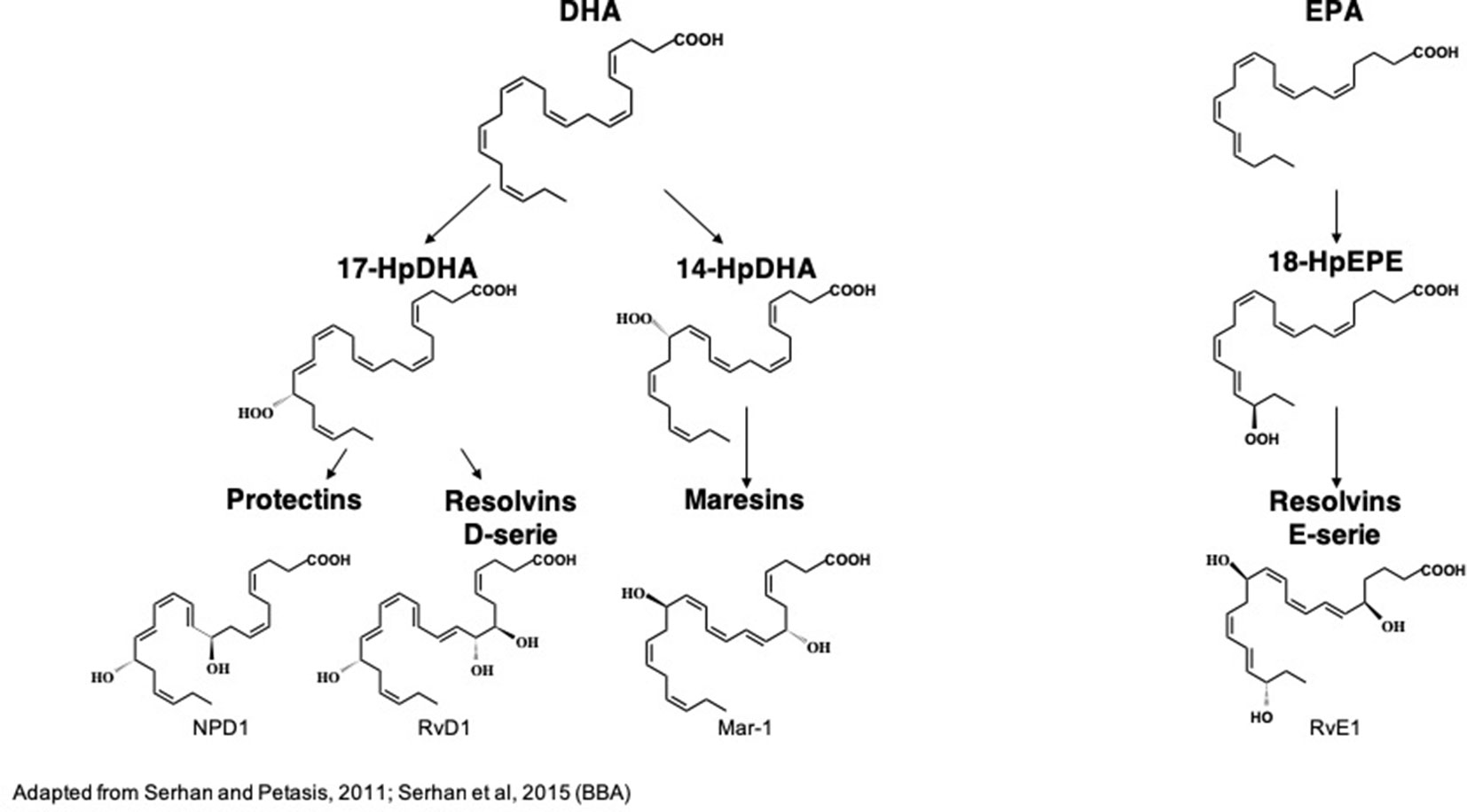 Frontiers N 3 Polyunsaturated Fatty Acids And The Resolution Of Neuroinflammation Pharmacology