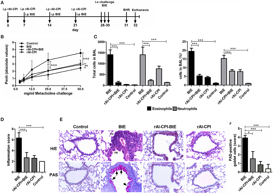 ascariasis igg