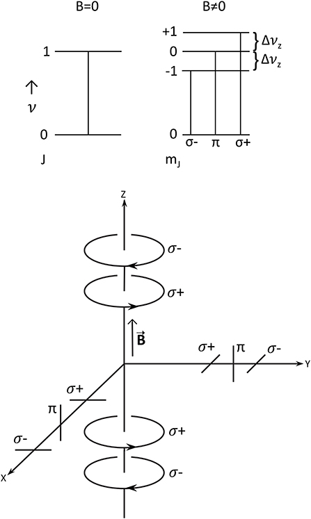 INTENSITY FORMULAE FOR THE ZEEMAN EFFECT (CHAPTER XV) - The New Quantum  Mechanics