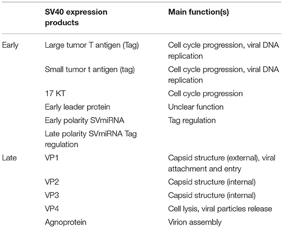 peritoneal carcinomatosis diagnosis