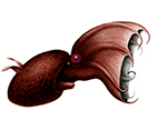 www.frontiersin.org