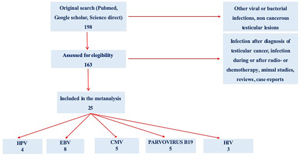 can copd be confused with asthma