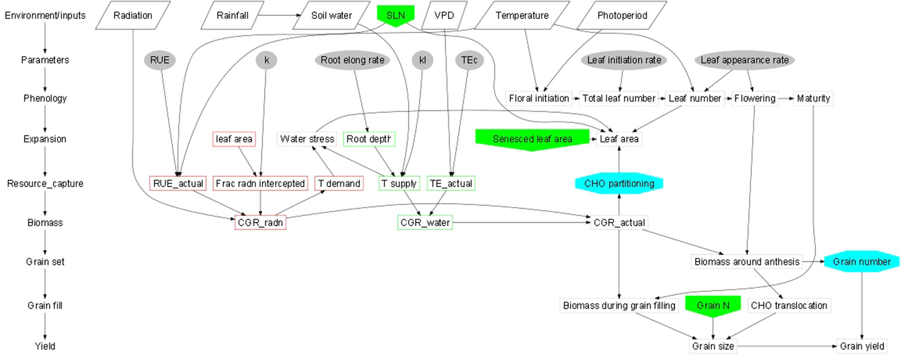 Pm Uas Org Chart