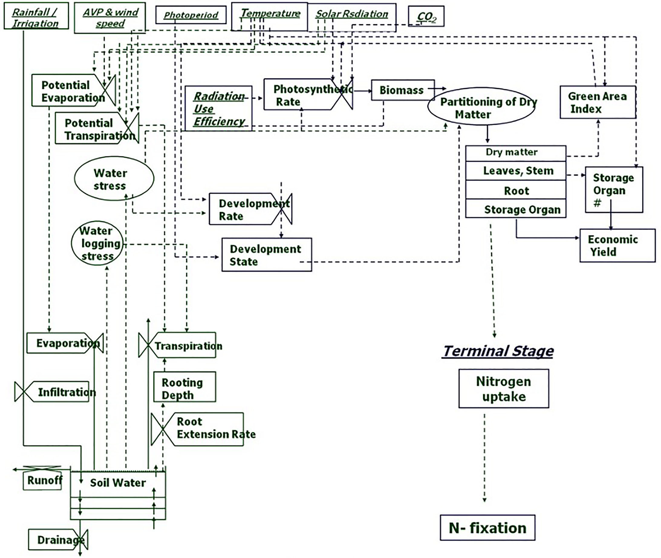 Pm Uas Org Chart