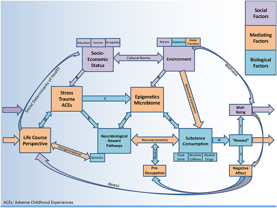 Frontiers A Biopsychosocial Overview Of The Opioid Crisis Considering Nutrition And Gastrointestinal Health