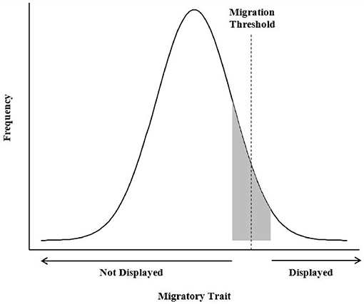 On the adaptive benefits of mammal migration