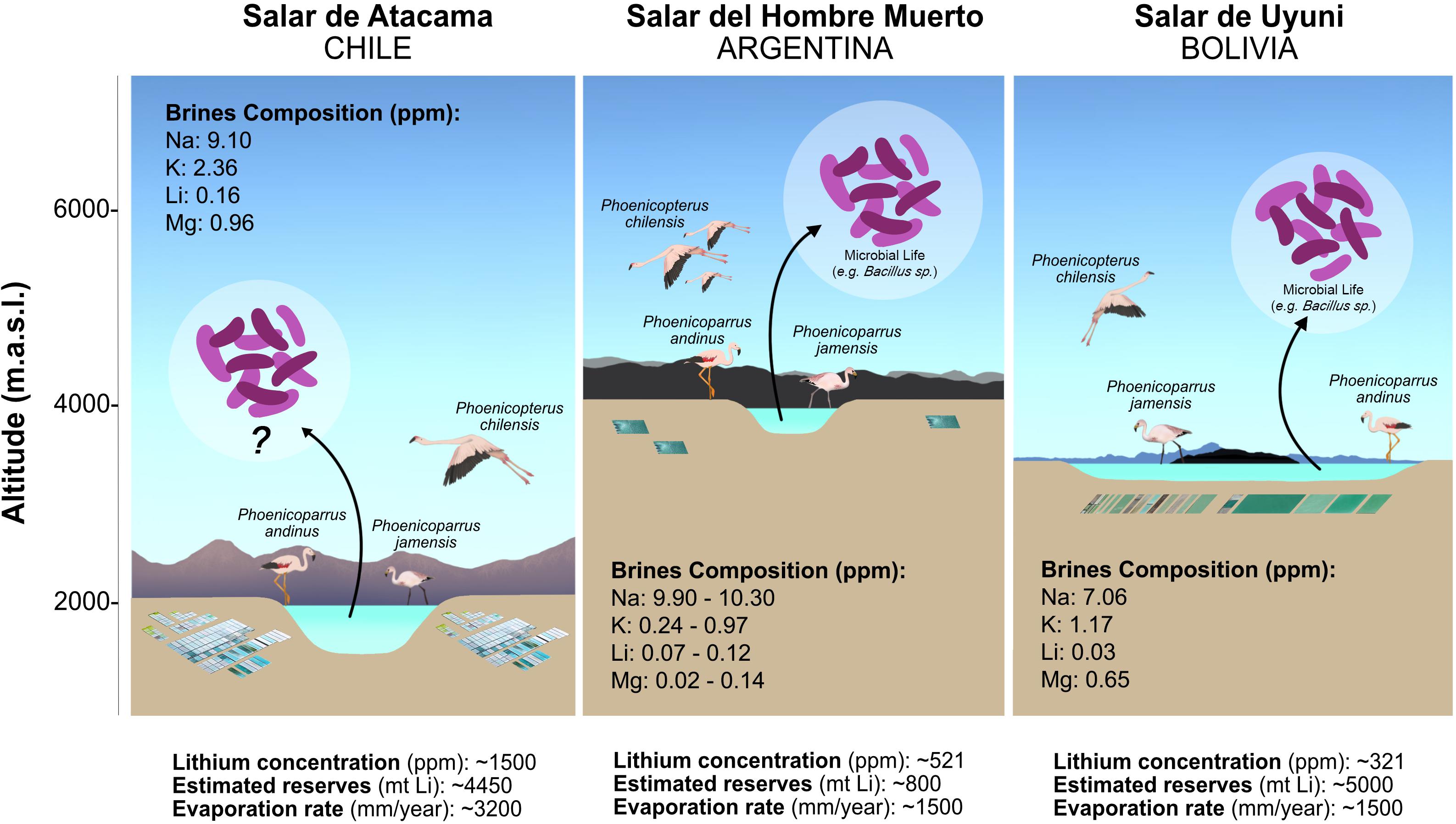 www.frontiersin.org