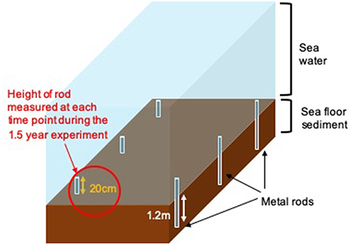 Figure 2 - SECP methods for measuring sediment.