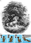 www.frontiersin.org
