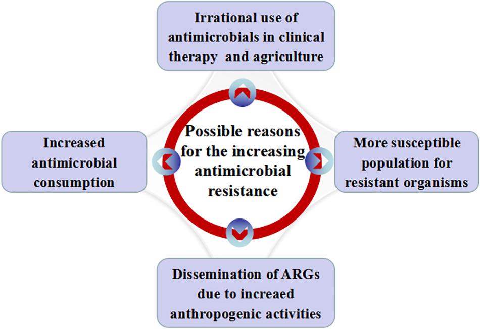 Frontiers | Crisis of Antimicrobial Resistance in China: Now and the Future
