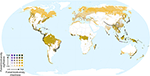 www.frontiersin.org