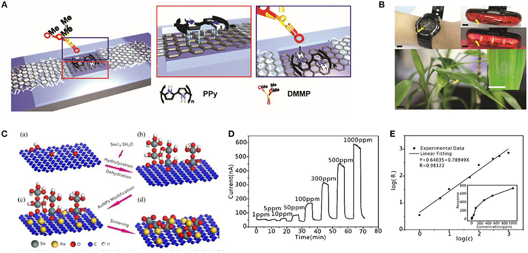 Frontiers Graphene Based Sensors For Human Health Monitoring