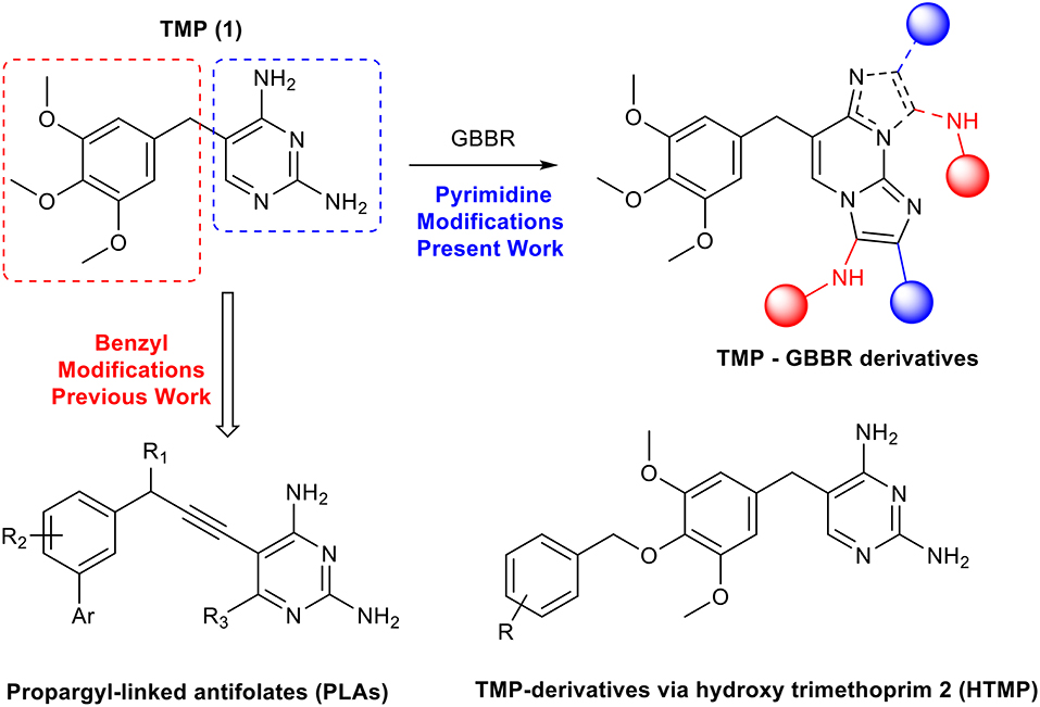 Frontiers  Tetraclinis articulata (vahl) masters: An insight into its  ethnobotany, phytochemistry, toxicity, biocide and therapeutic merits