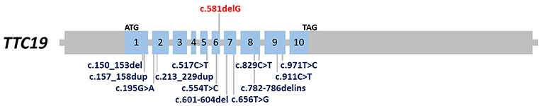 www.frontiersin.org