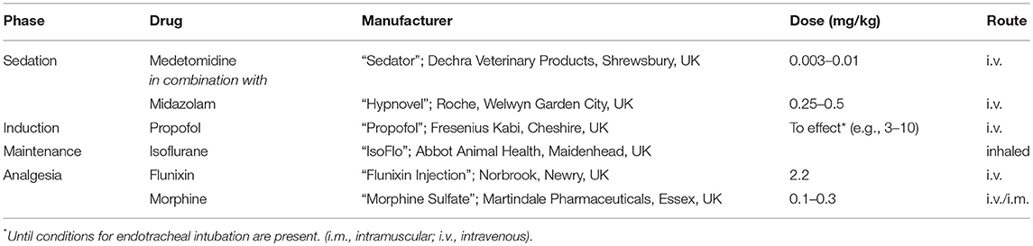 Frontiers A Novel Translational Ovine Pulmonary Adenocarcinoma