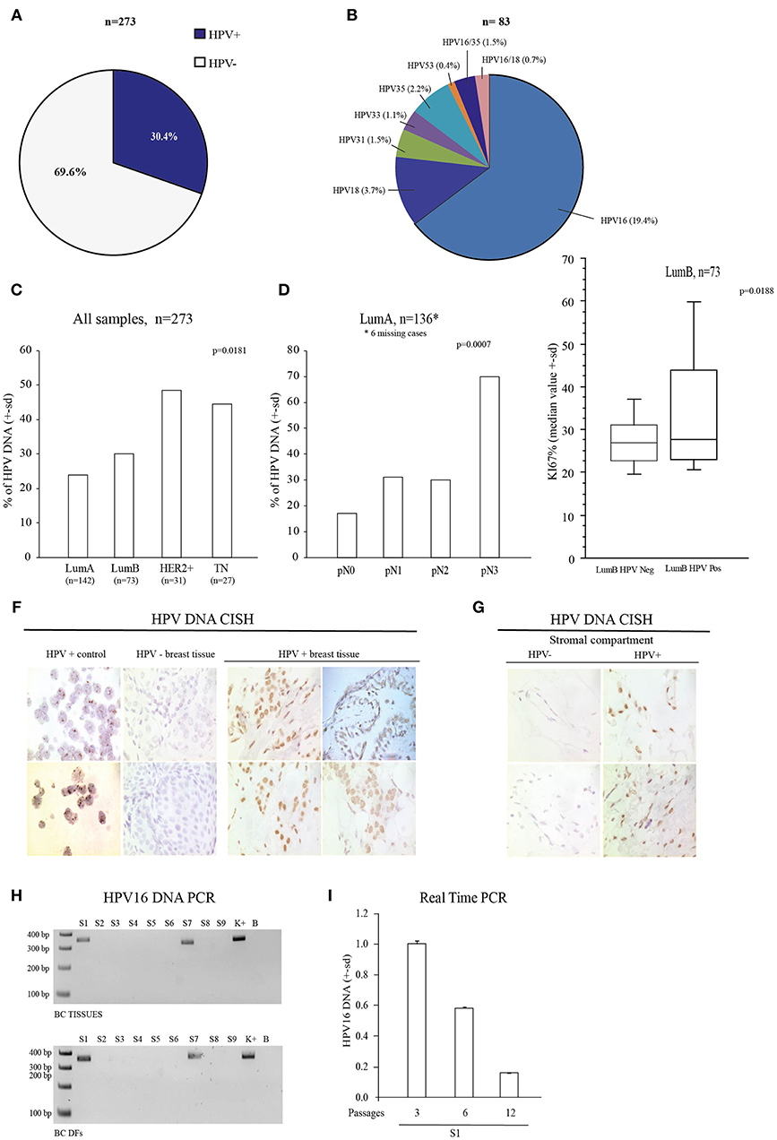 oxiurius vermicularis hpv vakcina fda