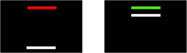 www.frontiersin.org