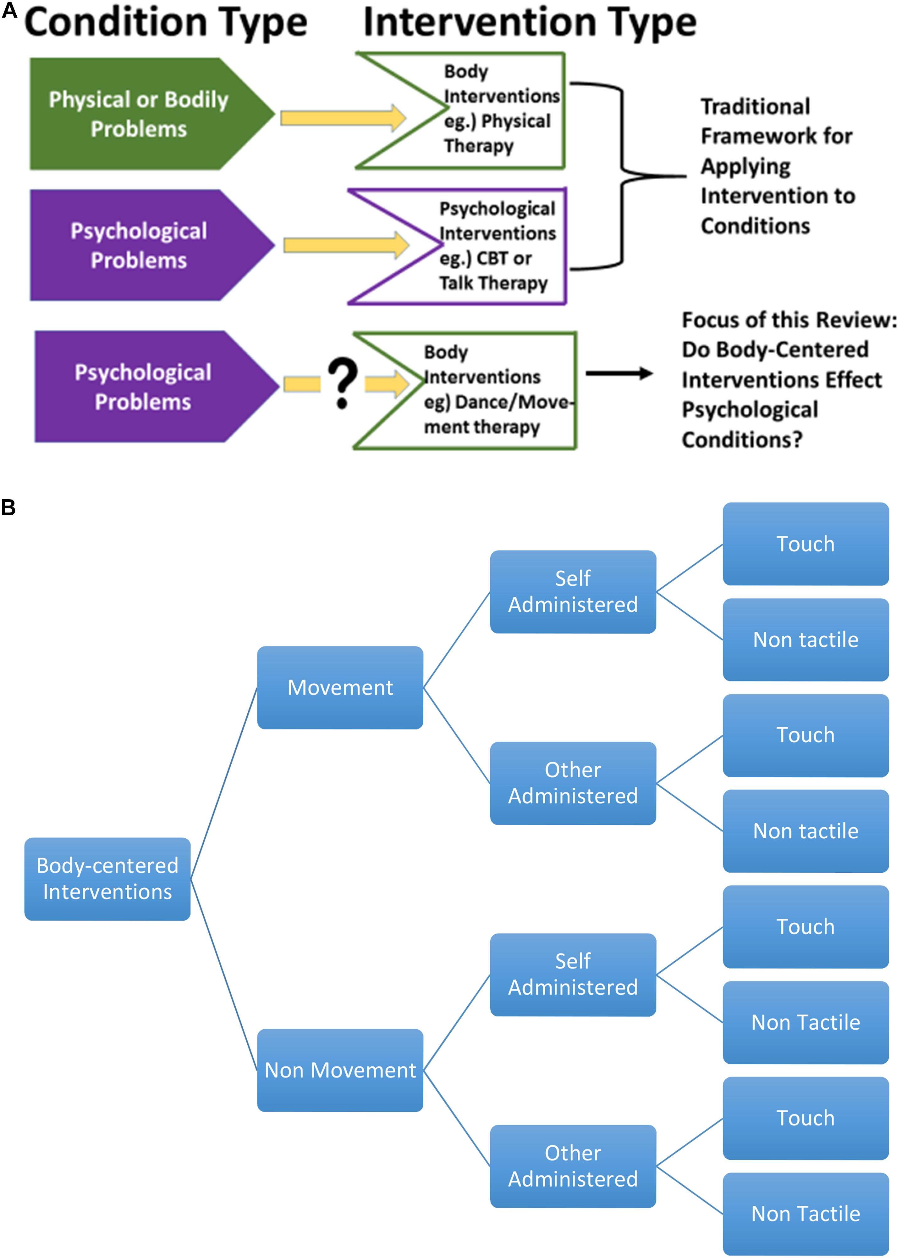 natural motion endorphin learning edition download