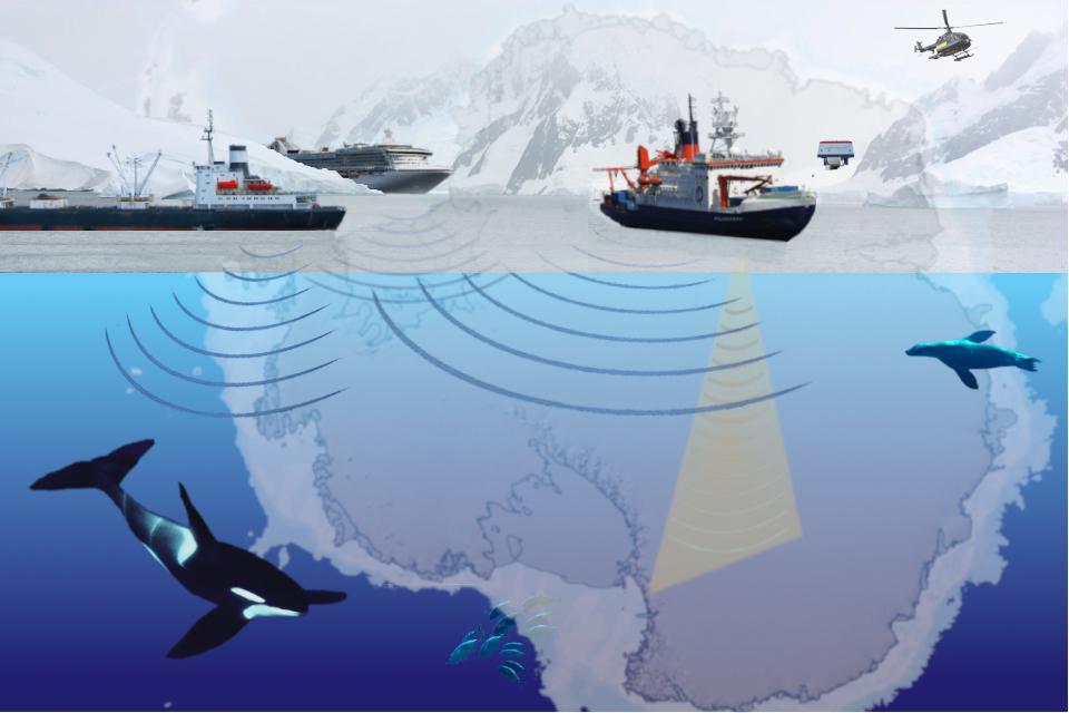 Frontiers | Managing the Effects of Noise From Ship Traffic, Seismic  Surveying and Construction on Marine Mammals in Antarctica