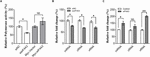 Frontiers | Avian Influenza A Virus Polymerase Recruits Cellular RNA Helicase eIF4A3 to Promote ...