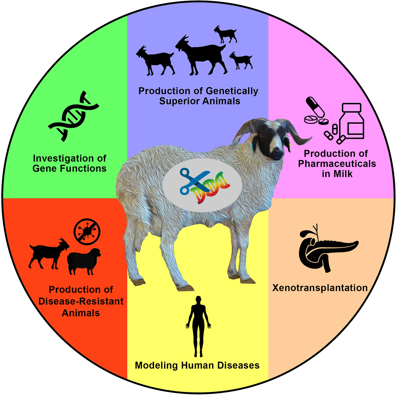 research projects on animal genetics