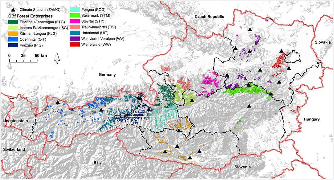 Frontiers Acute Drought Is An Important Driver Of Bark Beetle Infestation In Austrian Norway Spruce Stands Forests And Global Change