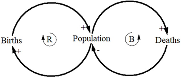 www.frontiersin.org
