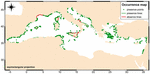 www.frontiersin.org