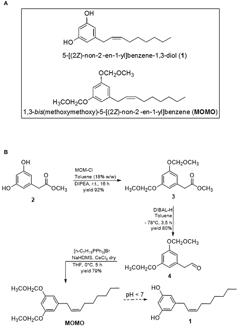 Frontiers The Natural Compound Climacostol As A Prodrug Strategy Based On Ph Activation For Efficient Delivery Of Cytotoxic Small Agents Chemistry