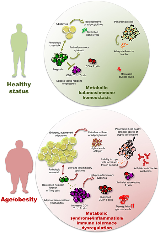 National Institutes of Health (NIH)