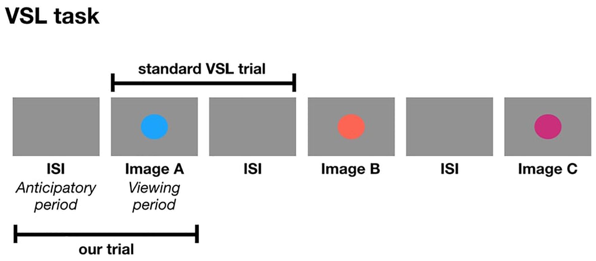 hensynsfuld stole Stille og rolig Frontiers | Opposing Timing Constraints Severely Limit the Use of  Pupillometry to Investigate Visual Statistical Learning