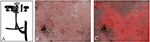 www.frontiersin.org
