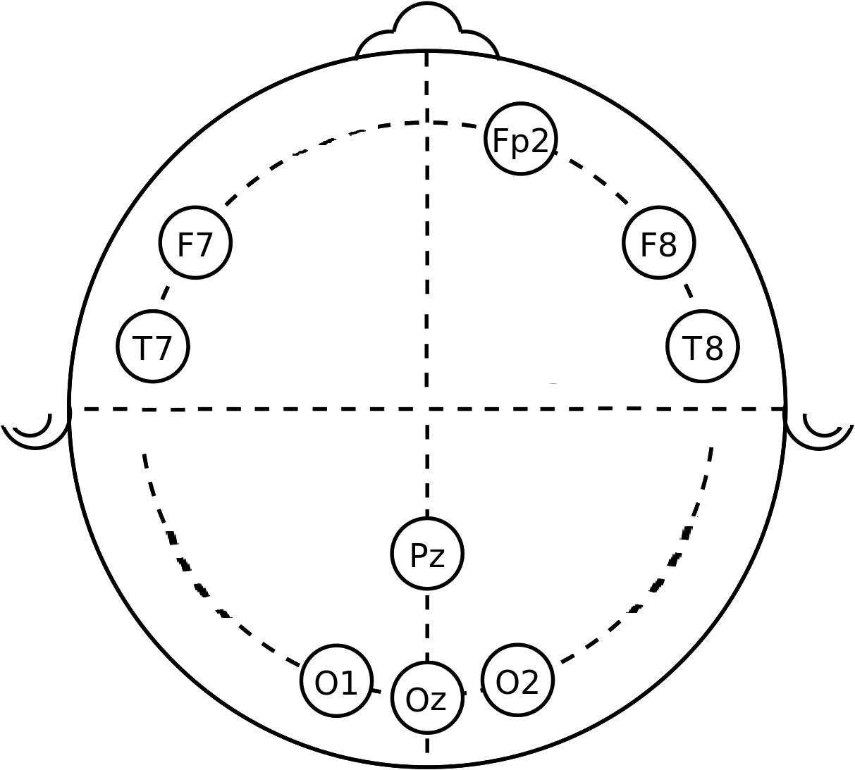 www.frontiersin.org