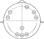 www.frontiersin.org