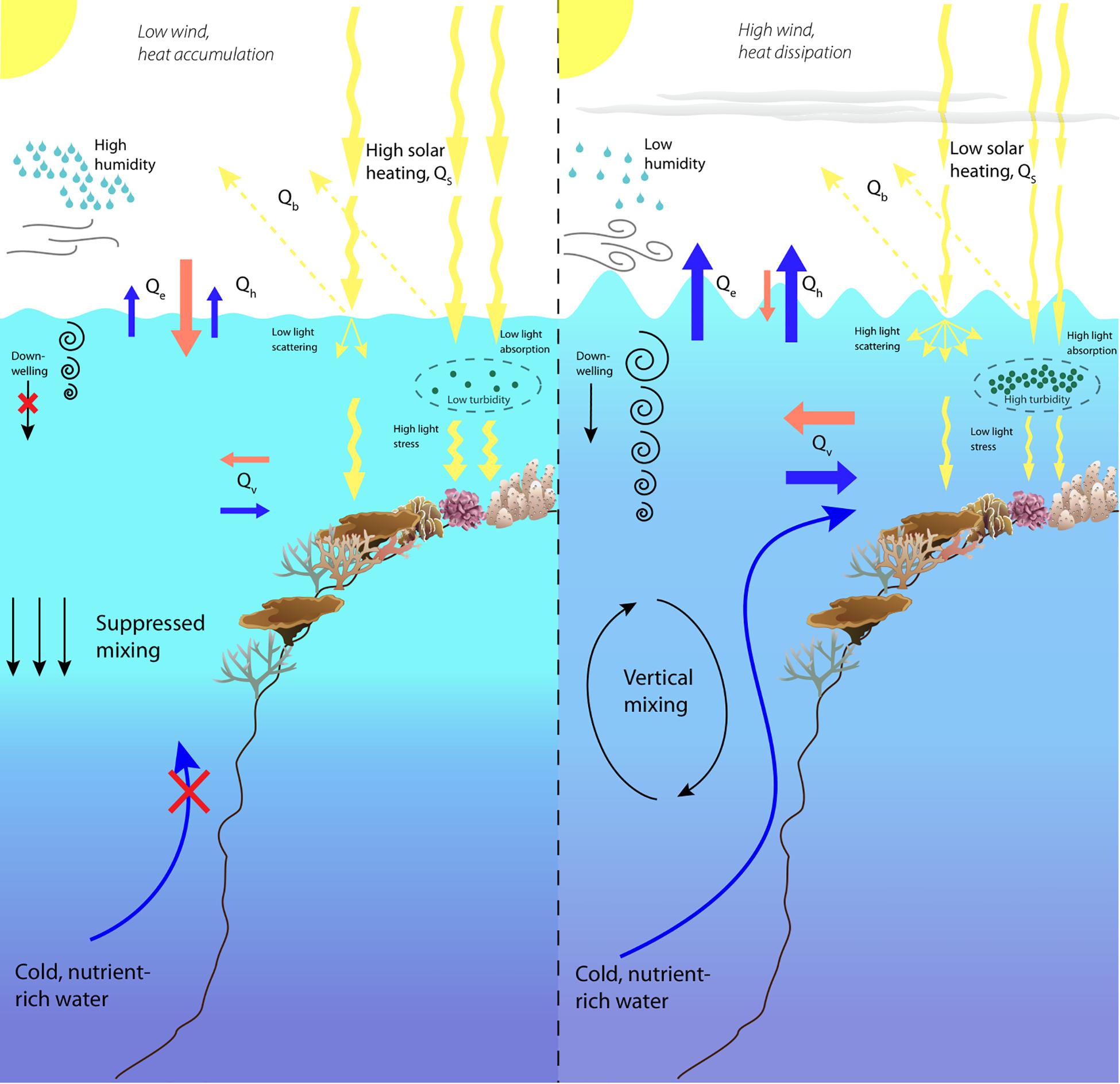 Frontiers | Marine Heatwave Hotspots in Coral Reef Environments
