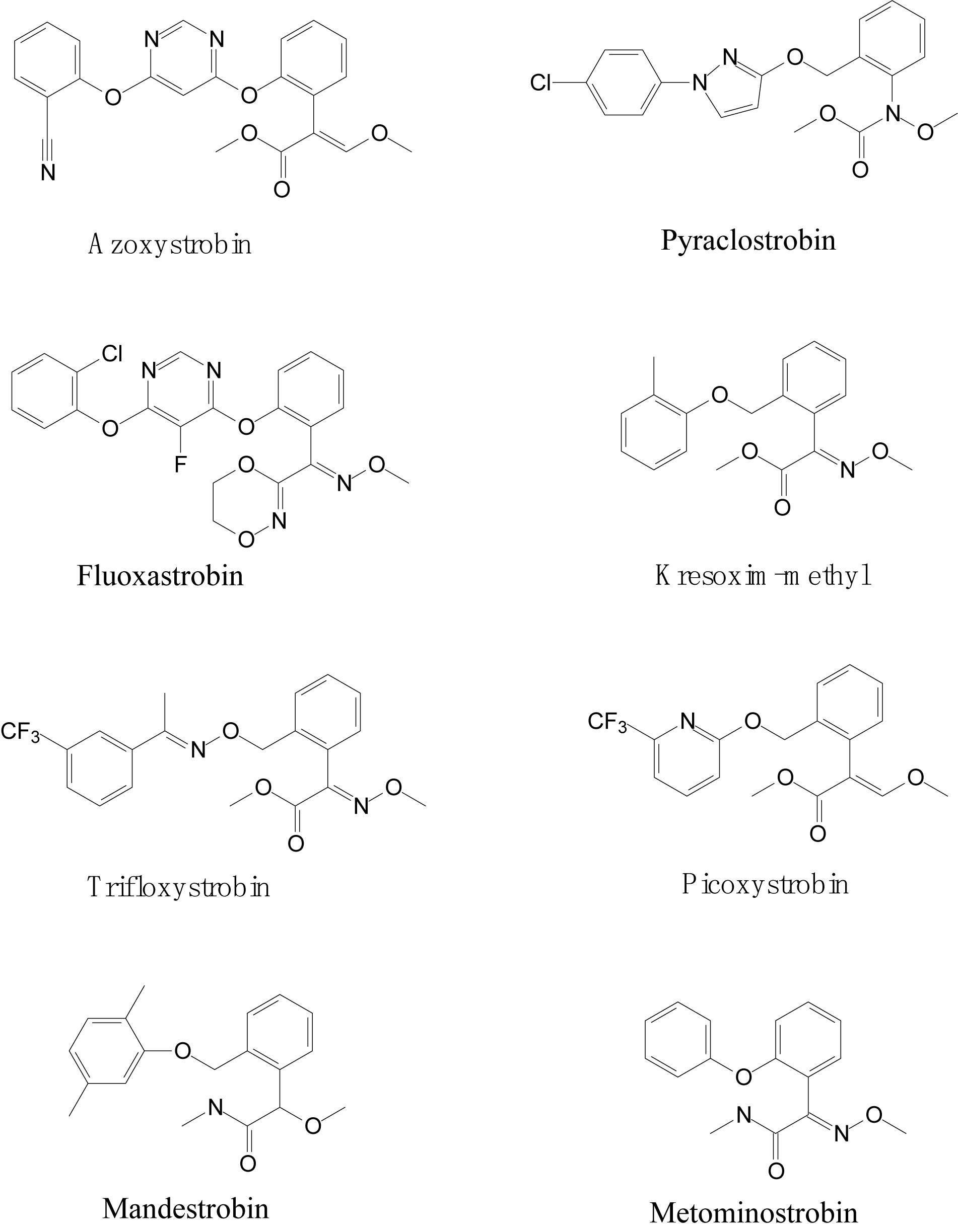 Frontiers An Overview of Strobilurin Fungicide