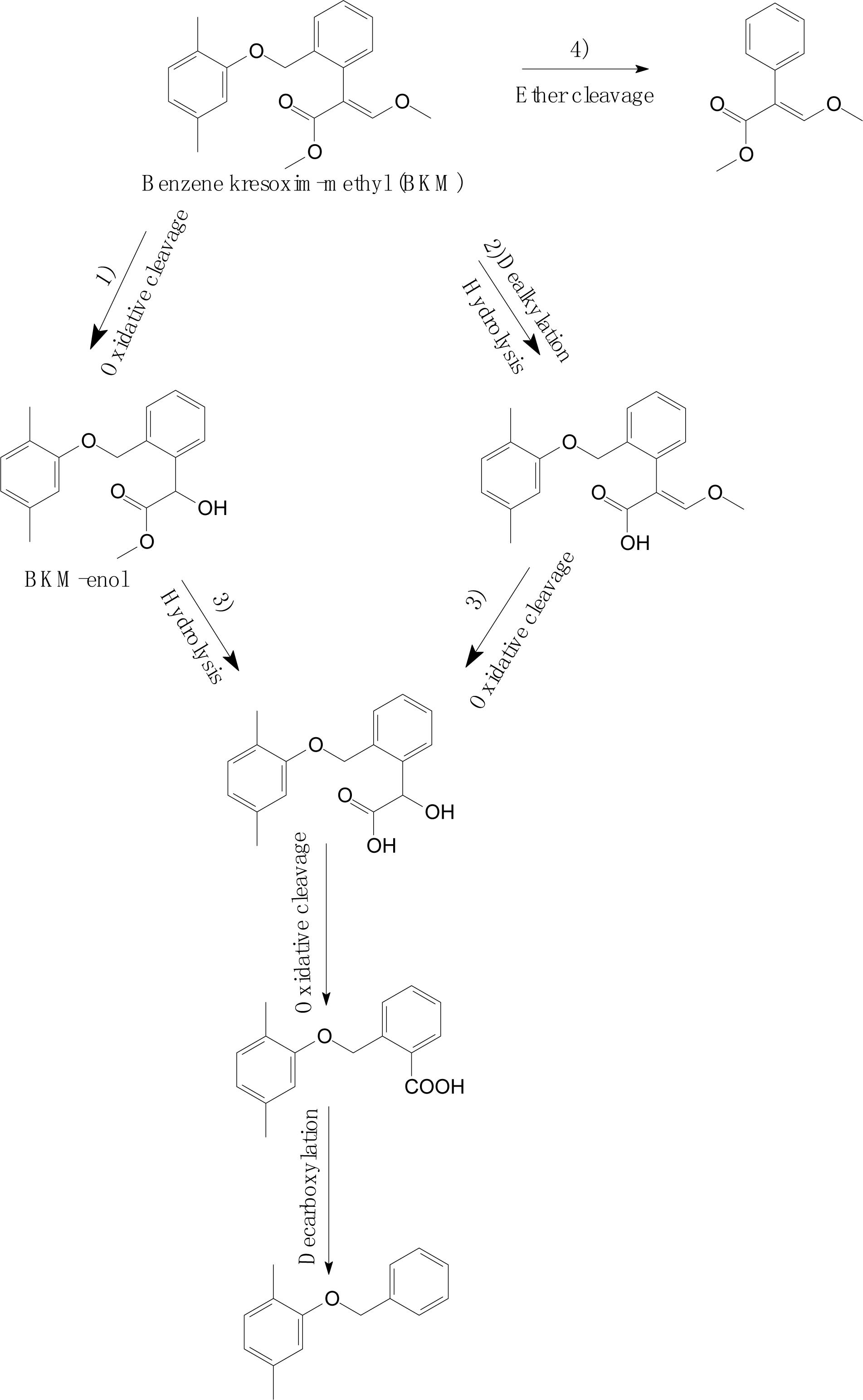 Frontiers An Overview of Strobilurin Fungicide