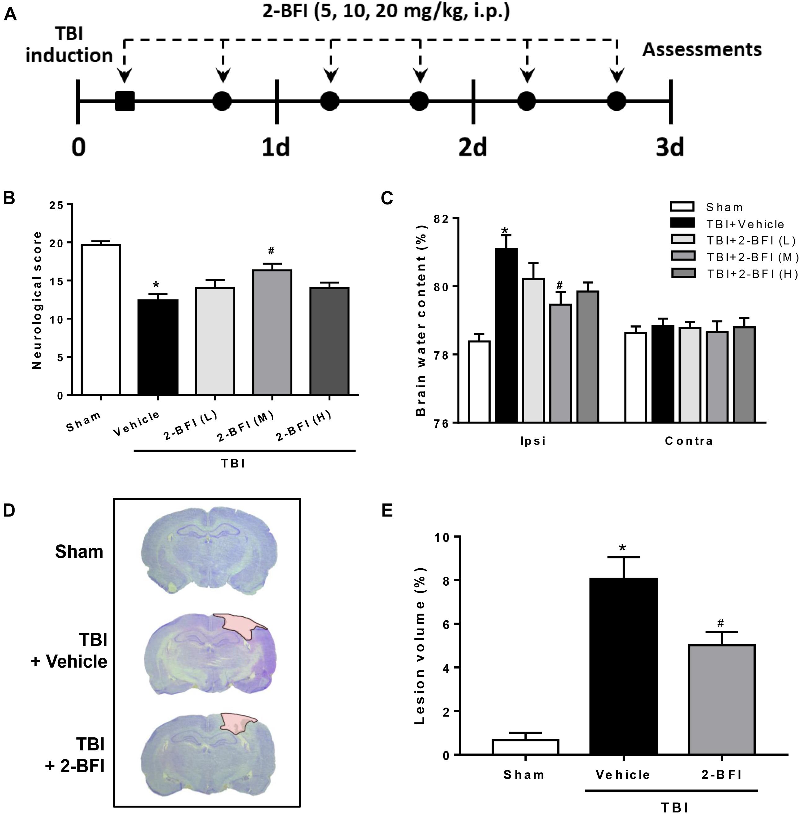 Frontiers | 2-BFI Provides Neuroprotection Against