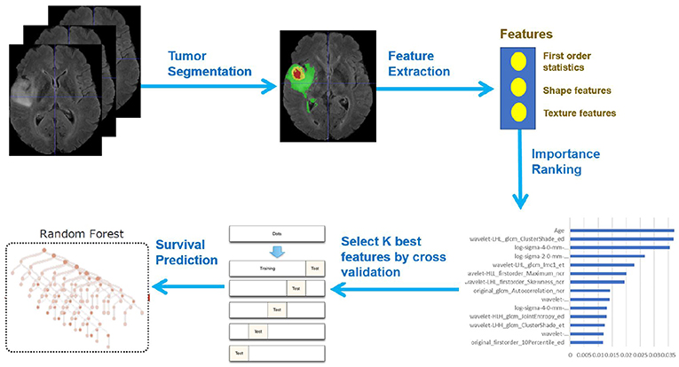 brain tumor detection using deep learning research paper