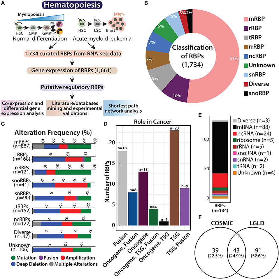 Disciplinair Vervormen exegese Frontiers | Transcriptomic Analysis Identifies RNA Binding Proteins as  Putative Regulators of Myelopoiesis and Leukemia